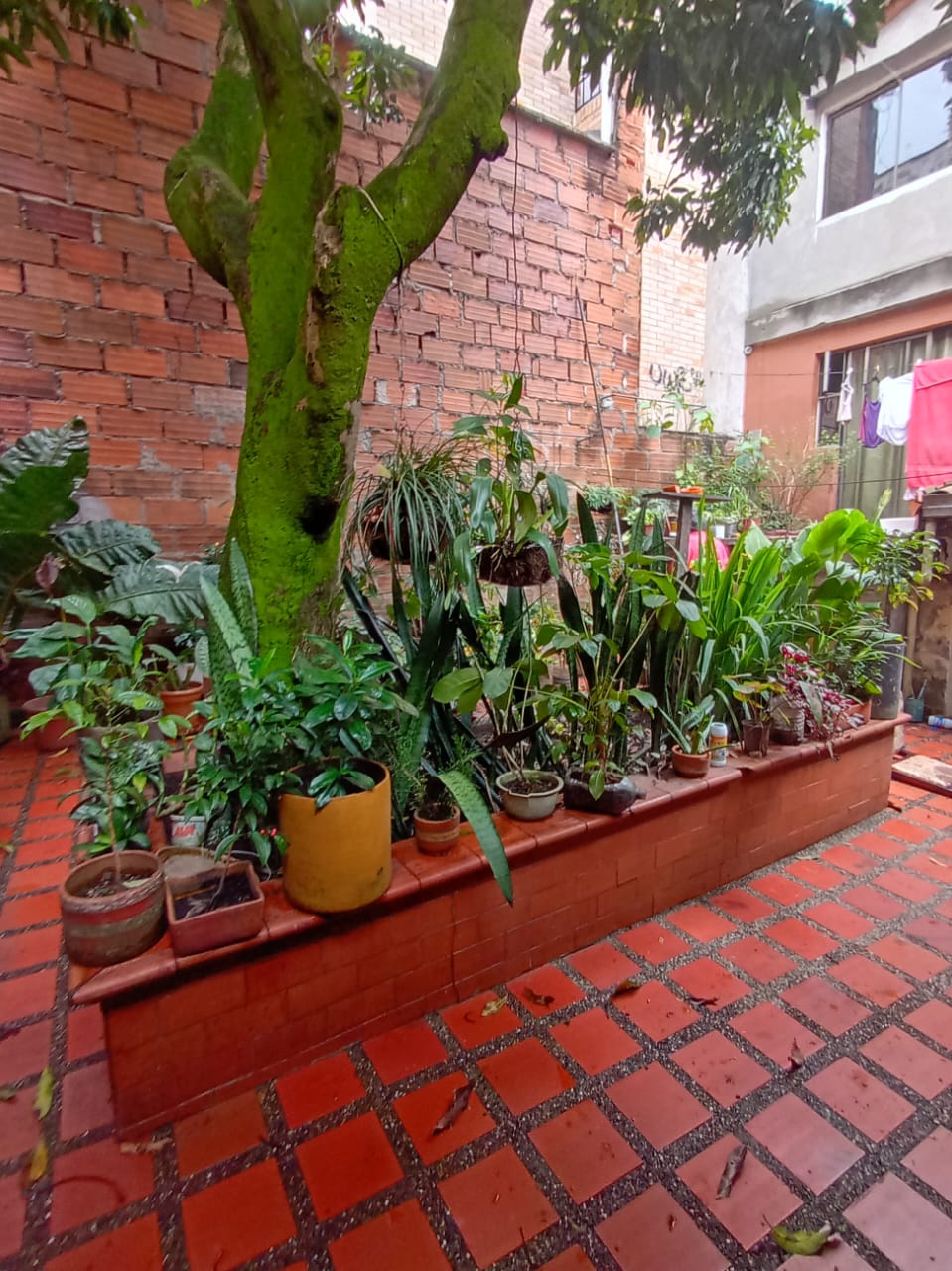 Casa comercial en el Barrio Naranjos