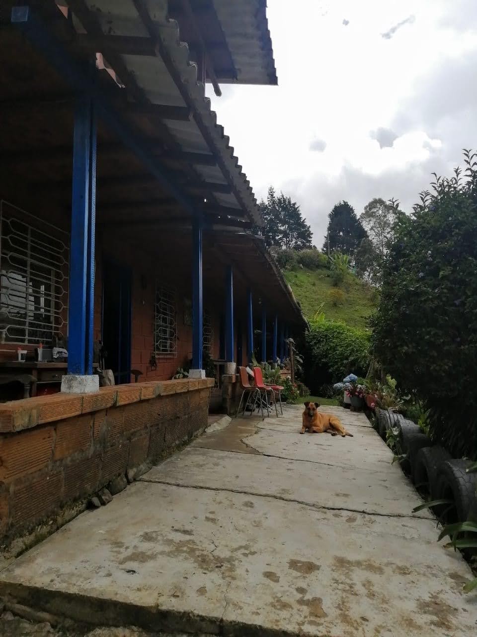 Vendo Finca en Guarne Antioquia
